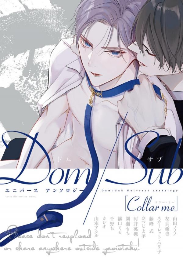 Collar me Dom/Sub Universe Anthology